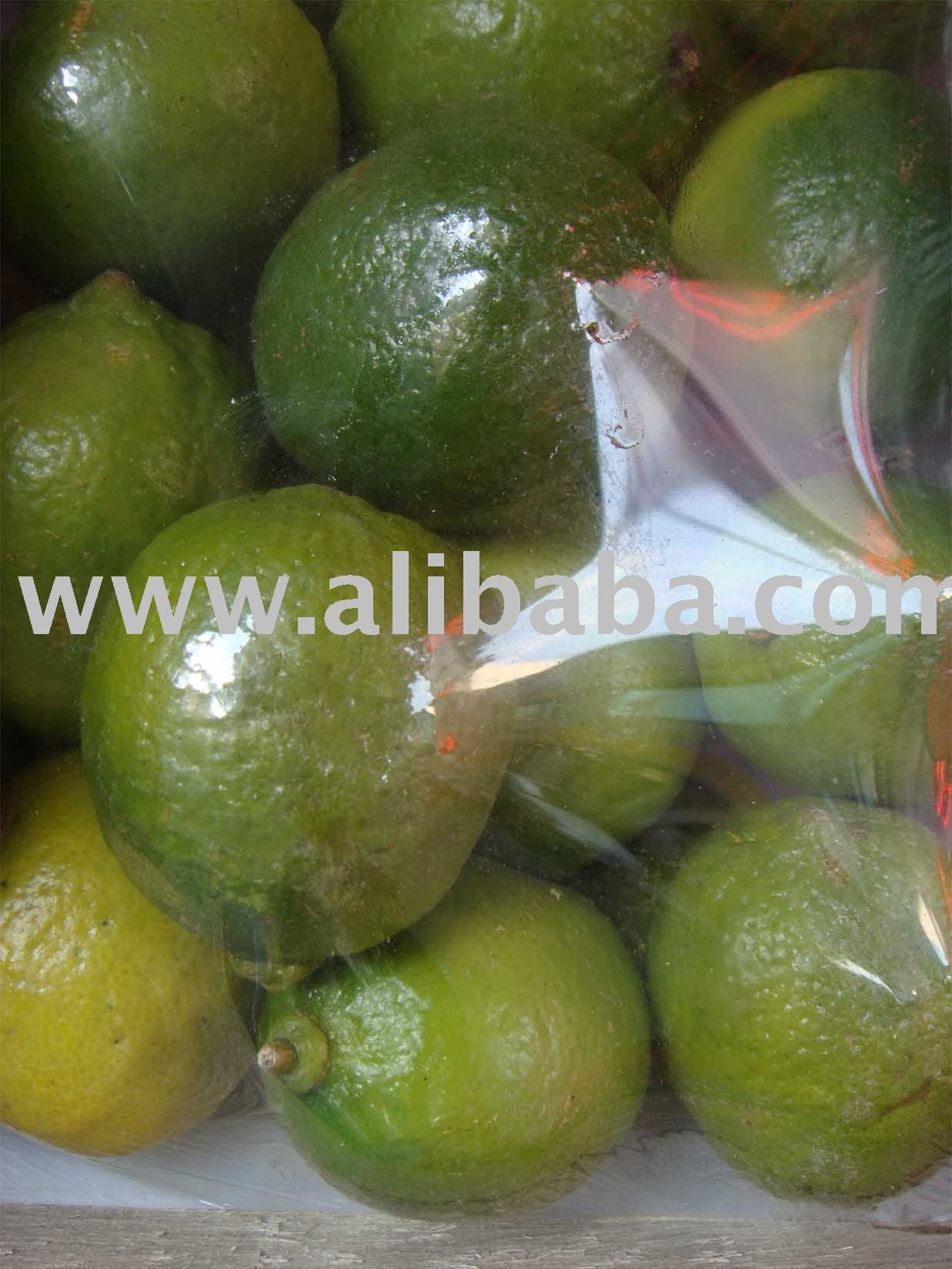 Fresh Lime