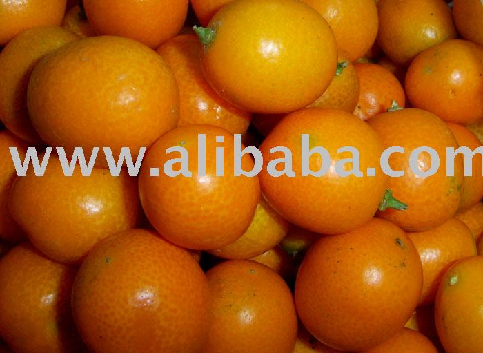 Mandarin Orange
