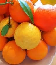 Citrus Fruit