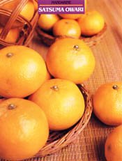 SATSUMA OWARI