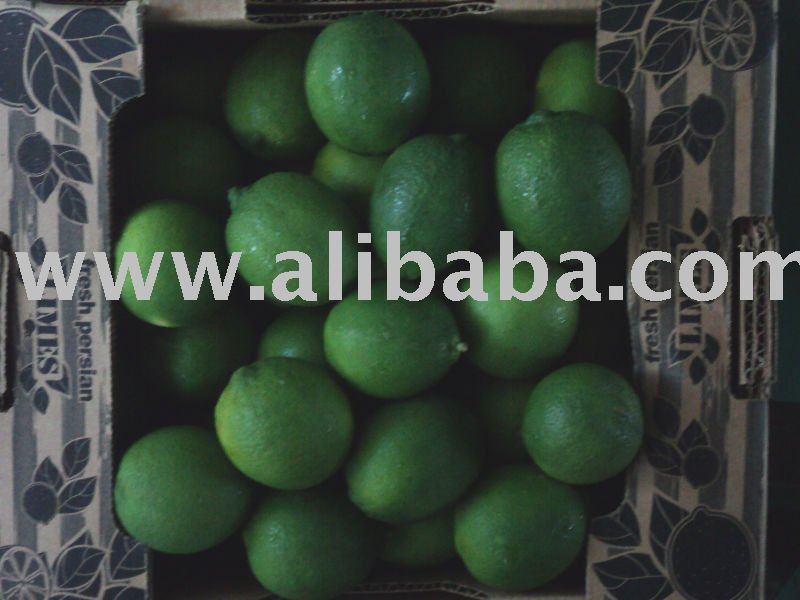  Fresh   Persian   Lime . Seedless type.