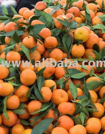 tangerine