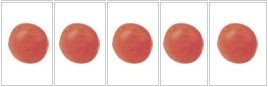 Delta - Seedless mandarin