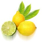 fresh Fruits-Lemon-Aydin