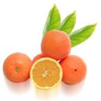 Fresh Fruits-Oranges Group-Shamouti (Jafa)