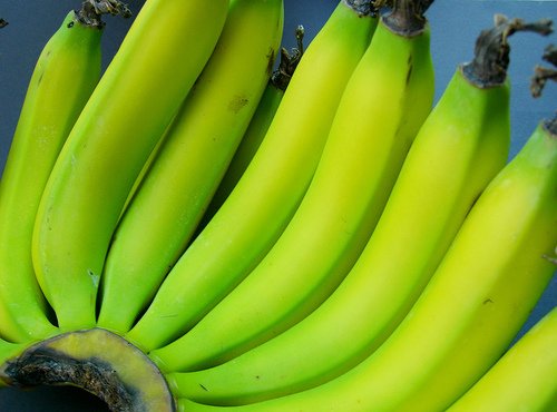 banana cavendish