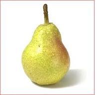 pear fruit