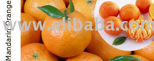 Mandarine Orange
