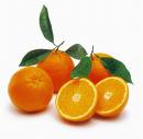 Shamouti  citrus
