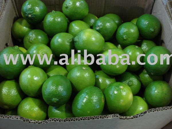 Limes