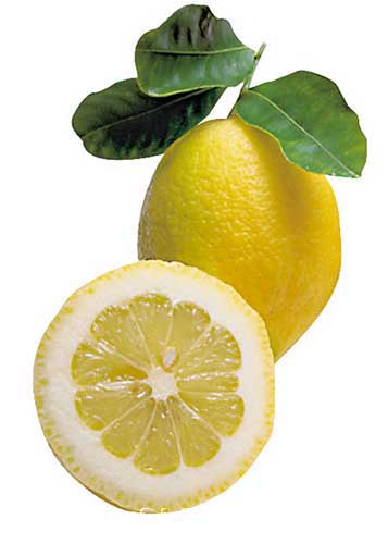 Lemon