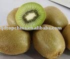 canned kiwi fruit