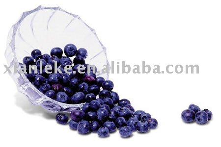 Glazed  Wild Blueberry
