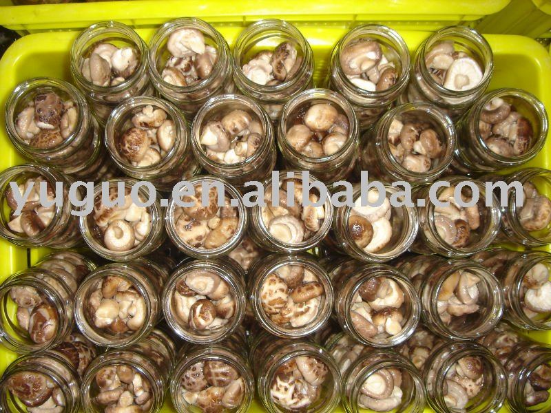 YUGUO 2011(china) FDA canned shiitake mushroom in brine