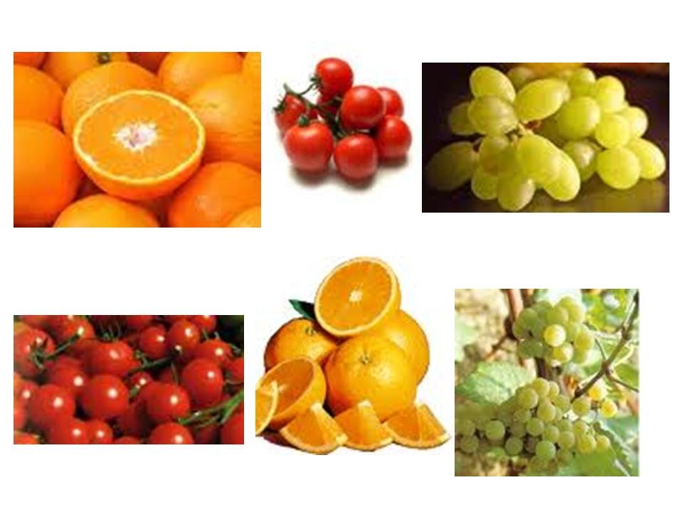 Italy - Fresh Eating Grapes, Cherry Tomatoes, Oranges (2010238)