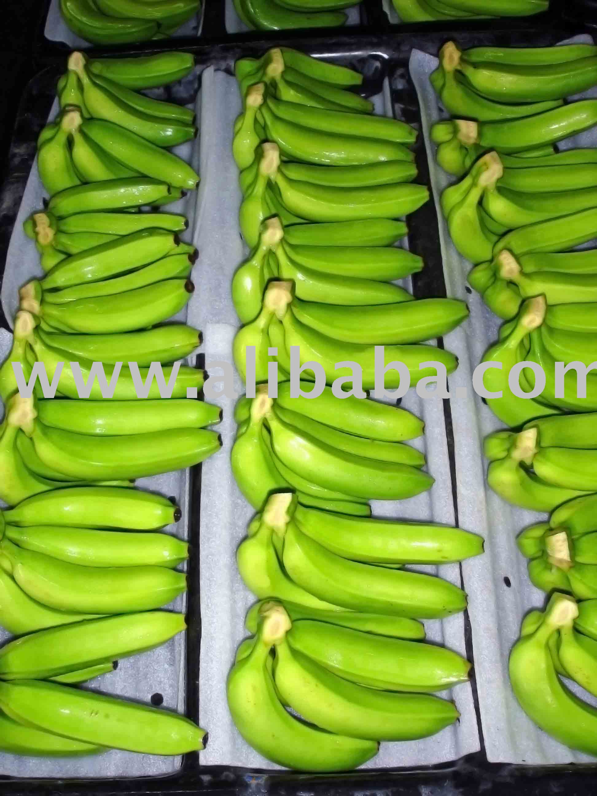 Philippines fruits