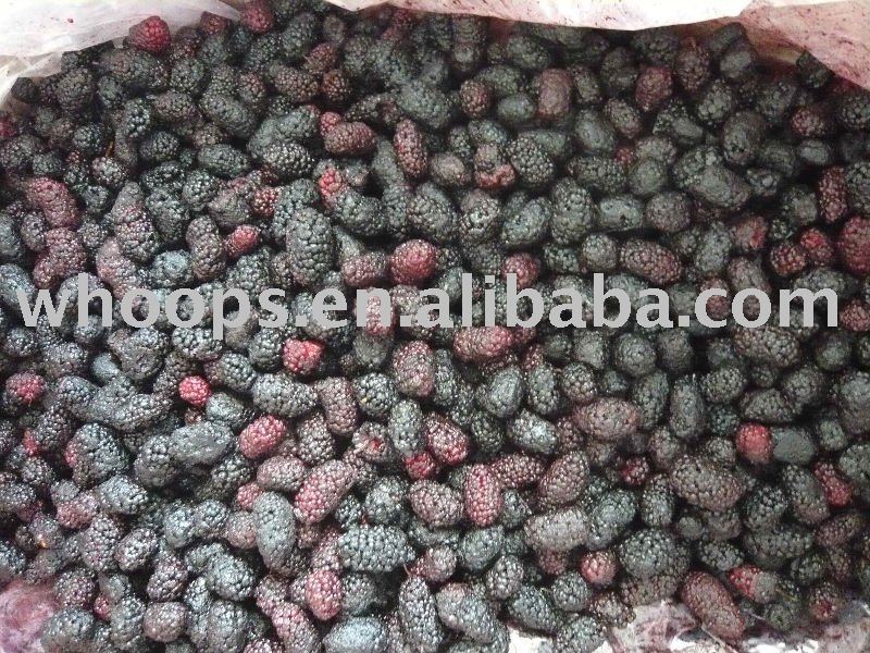 new new crop frozen mulberry