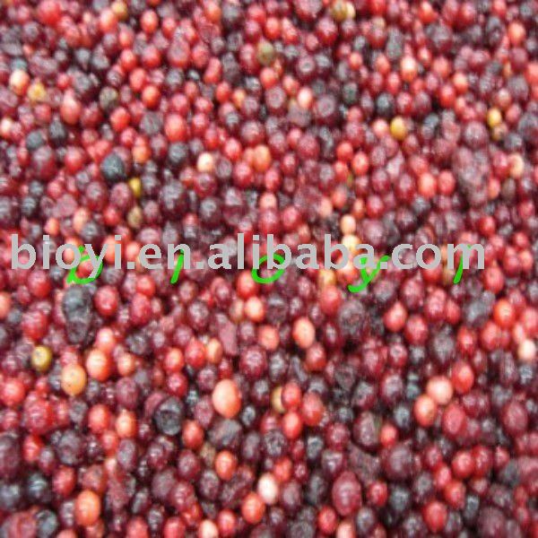 Iqf Lingonberry