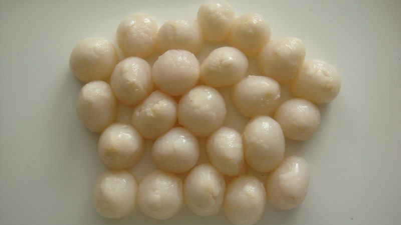 canned lychee(canned food)