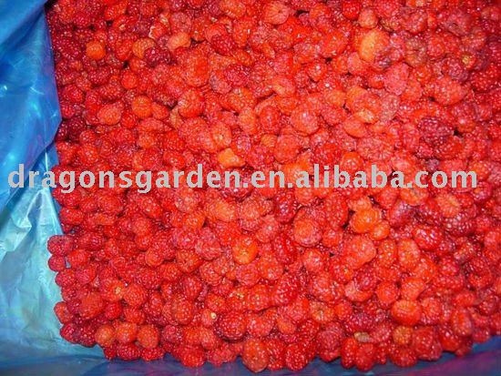 frozen lingonberry