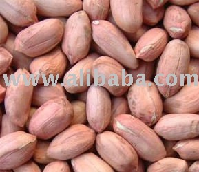  PEA   NUTS  KERNEL