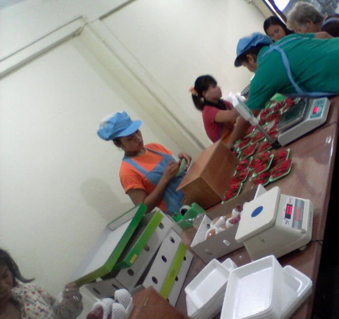 Packaging for Fruits