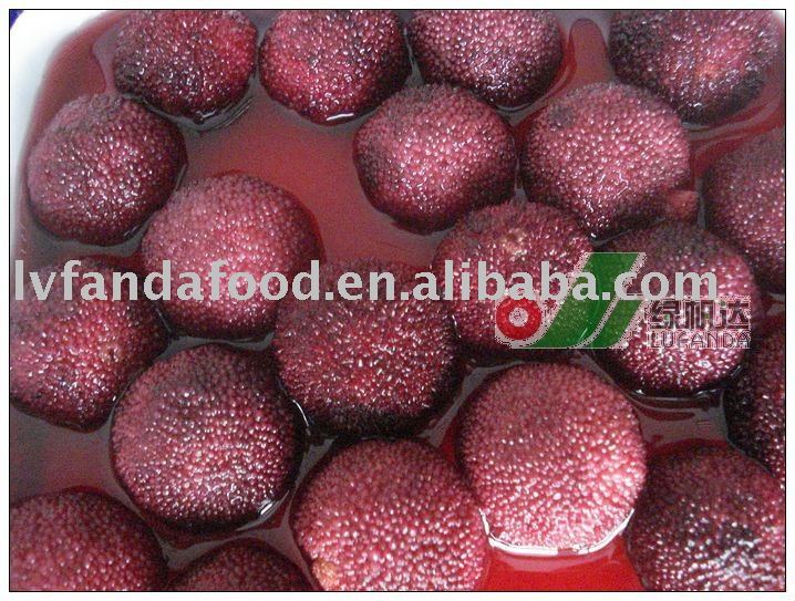 Canned Arbutus in light syrup the types of canned food products
