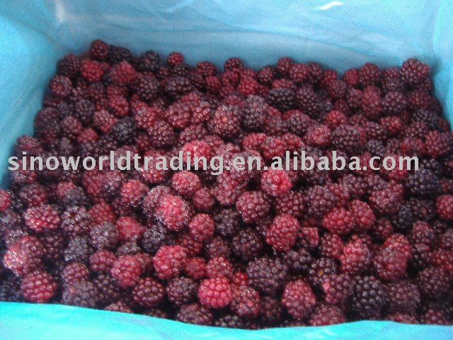 IQF blackberry