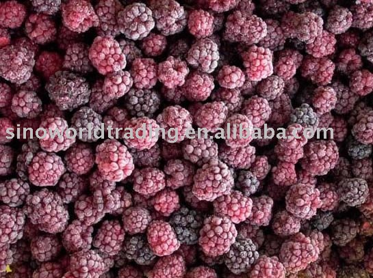 frozen blackberry