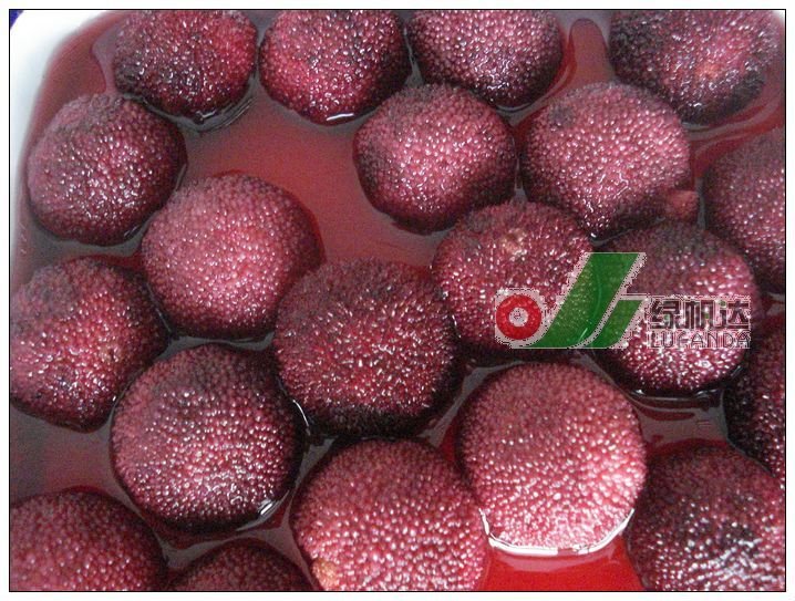 Canned Arbutus in light syrup  canned food product