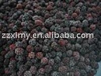 Frozen Blackberry