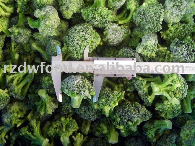 IQF broccoli