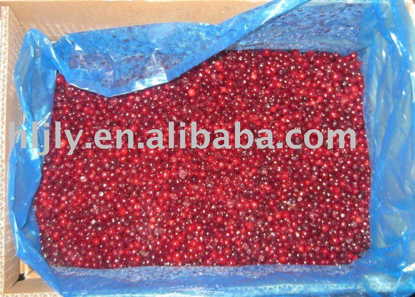 IQF lingonberry