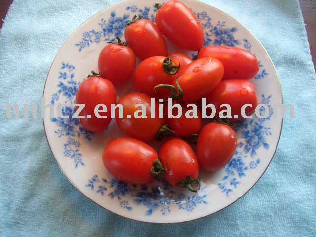 fresh cherry tomatoes