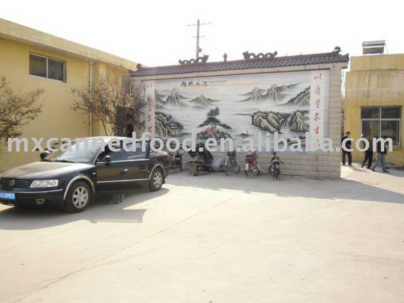 Experienced Canned Food Factory 10 Years producing