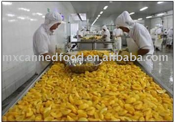 Fresh Delicious Nutritious Process Fruits In Metal Tins