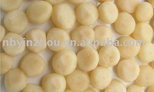 water chestnut