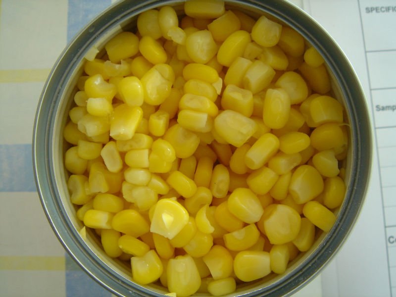 Canned   sweet   corn  in  Brine 
