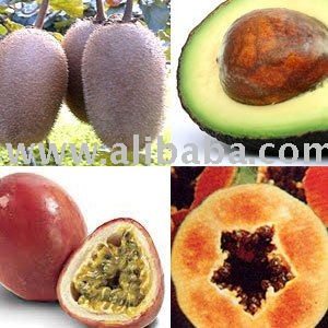 Fresh  Organic   Kiwi  fruit