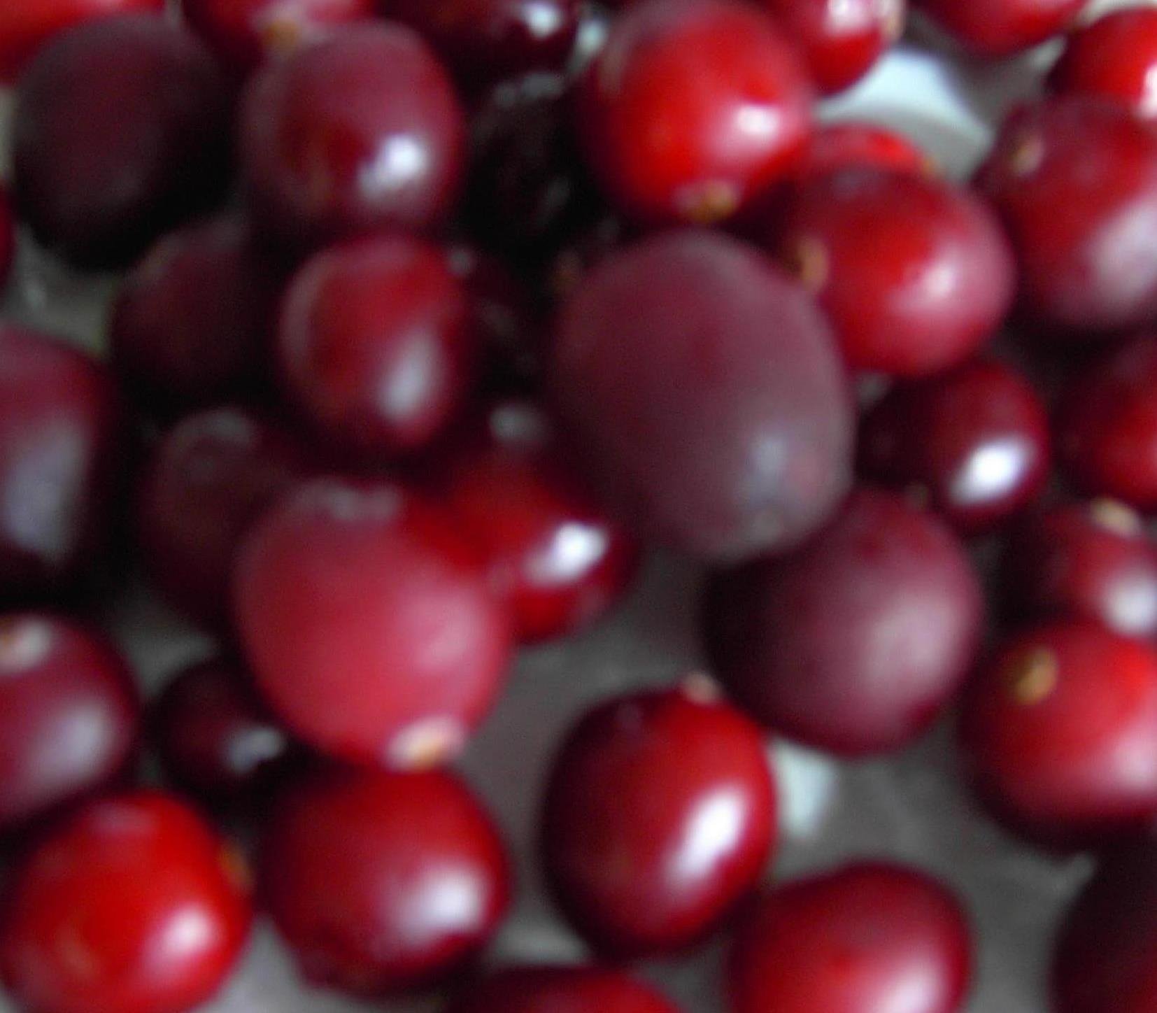 Fresh or  frozen   Cranberry 