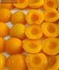 YELLOW PEACH CANNED IN LIGHT SYRUP