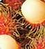  Canned   Rambutan  in  Syrup 