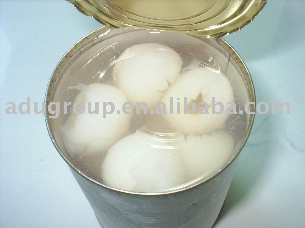 canned lychee in syrup