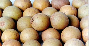 Chiku Pulp