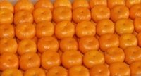Nanfeng Oranges