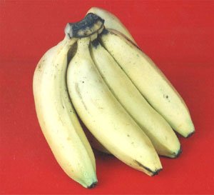 Banana Pulp