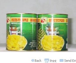 Pieces Pineapple In Syrup 20OZ