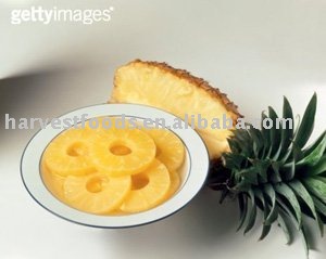 Canned pineapple slices