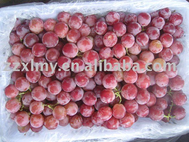 Fresh Red Globe  Grapes