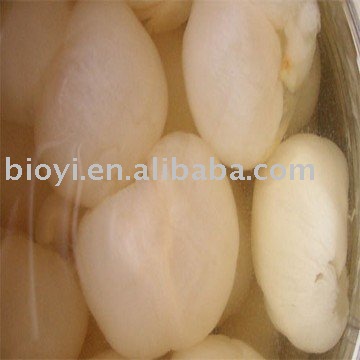 canned longan